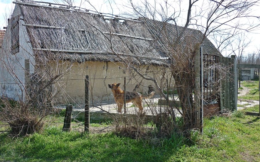 (►) Segítség megy a tanyákra