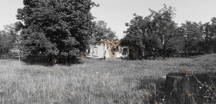 Tázlári tanyaromok