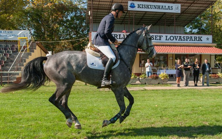 Bajnokok vitték a prímet