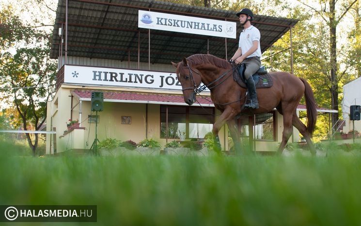 Vendégvárás a lovasparkban