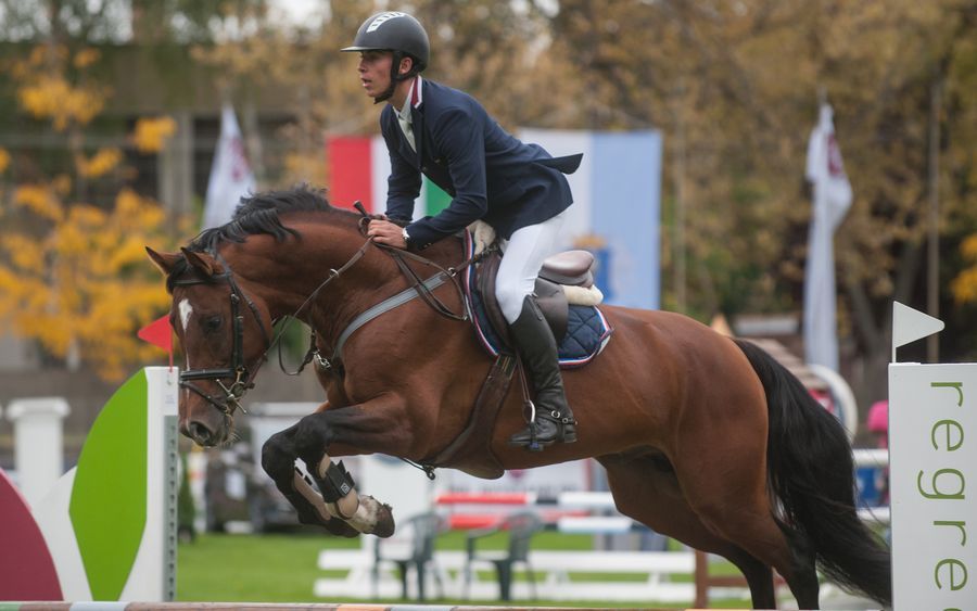 Színvonalas elődöntők a tenyészen (galériával)
