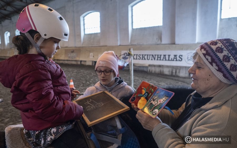 (►) Lovasterápia Gabi nénivel (galéria)