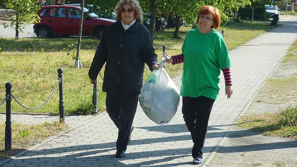 Ők szedték Halason