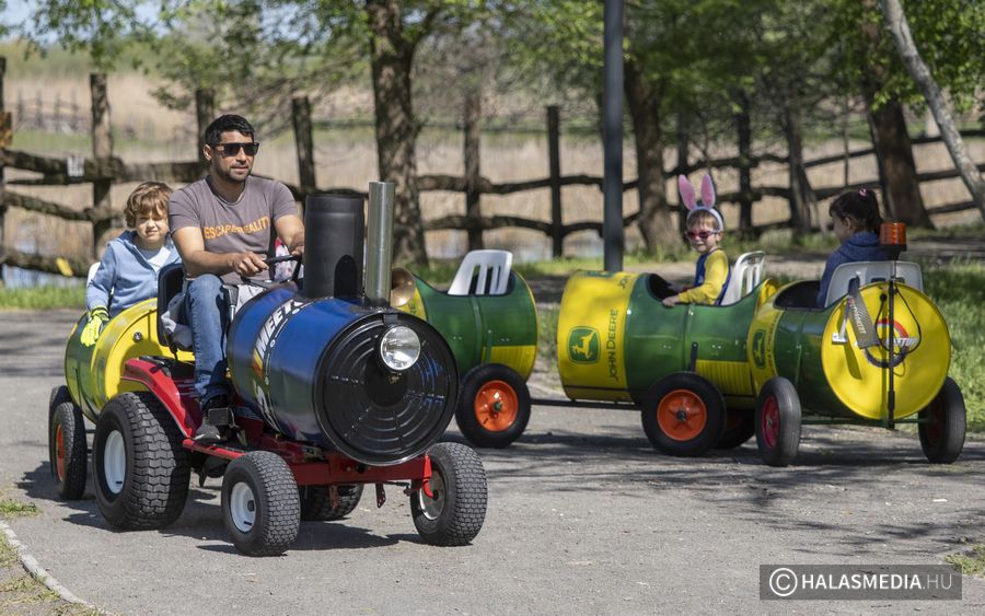 (►) Tojást kerestek, húsvéti élményt találtak a Csetényiben (galéria)