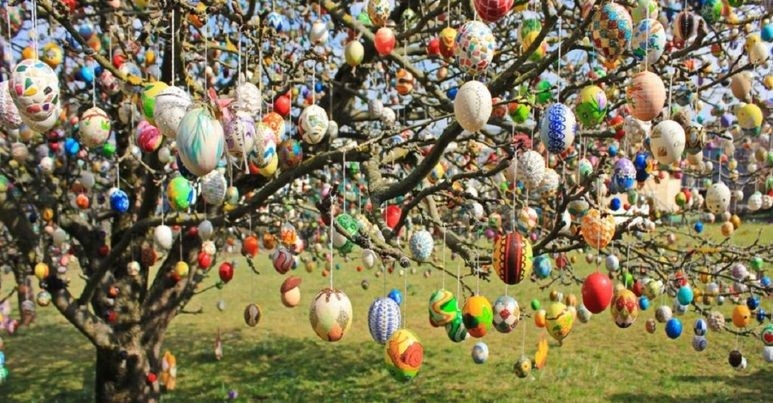 Idén is lehet díszíteni – meghirdették a húsvéti tojásfa szépségversenyt