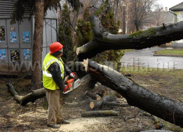 Ez történt idén februárban