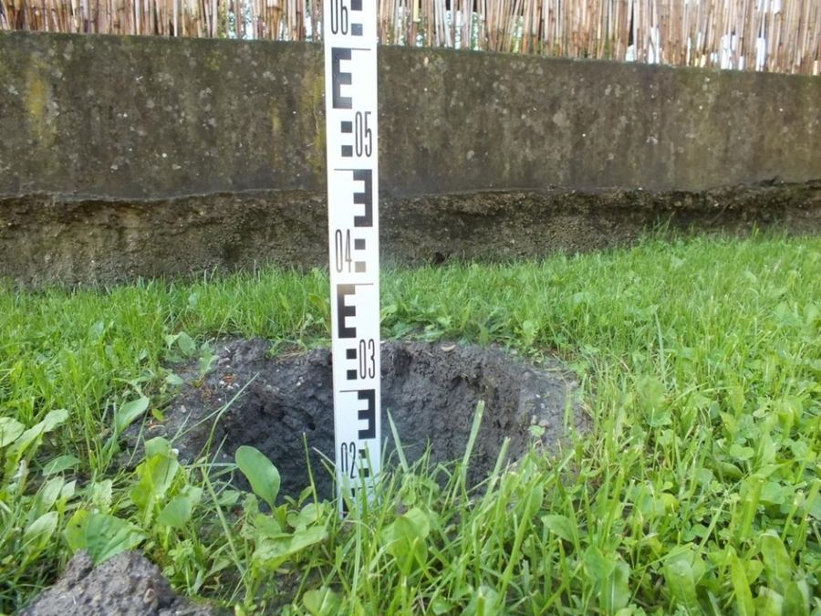 Beugrálnak, tuját lopnak