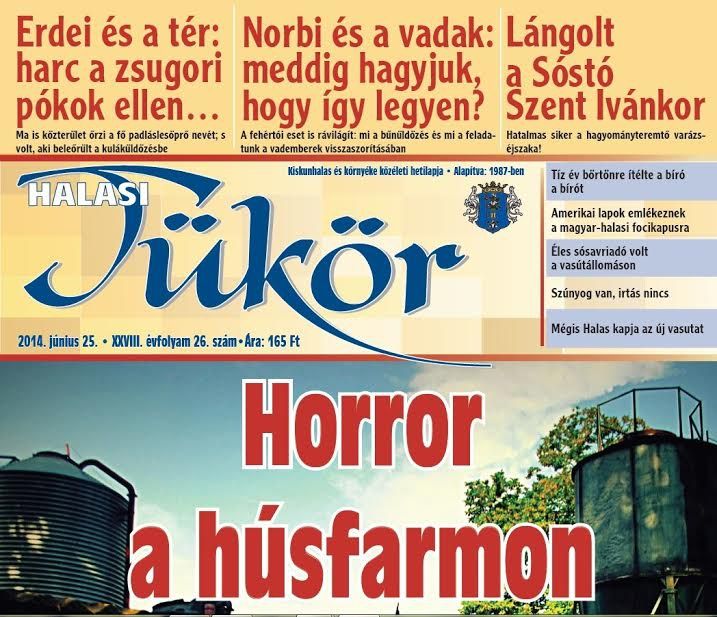 Tükröm, tükröm, mondd meg nékem...
