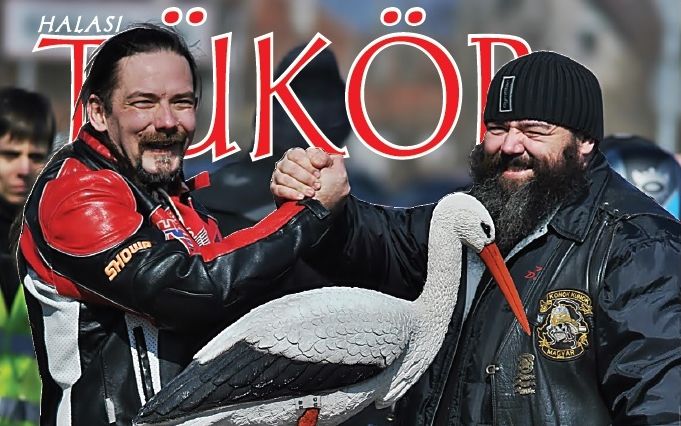 Már a boltokban a Halasi Tükör