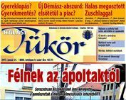 Félnek az elmeápoltaktól