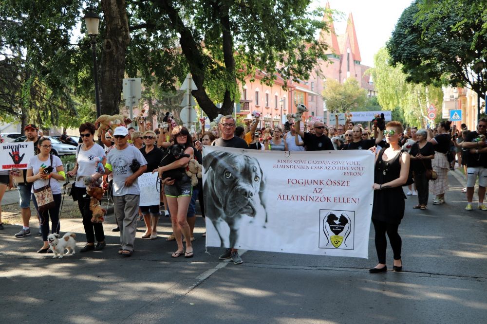 Letöltendő börtönt az állatkínzóknak