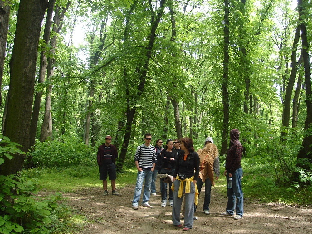 A vajdaság ékszere