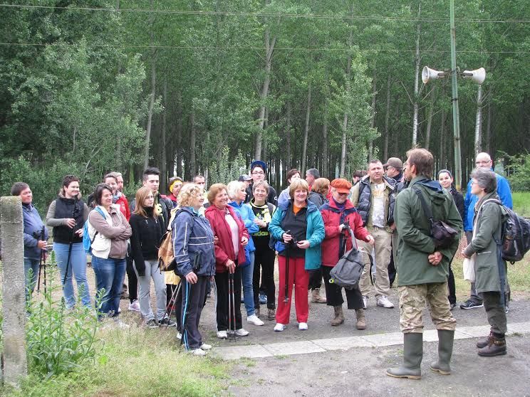 Pirtótól Halasig barangoltak