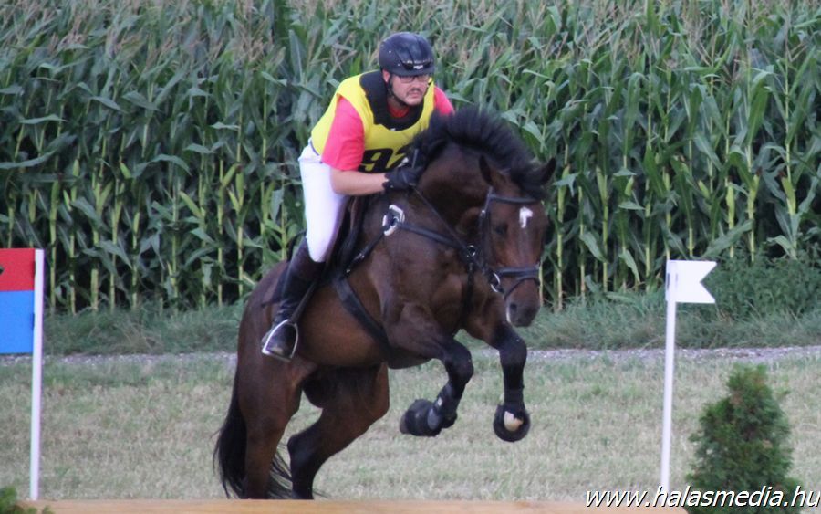 Lovastusázó aranyak és bronz Kaposvárott