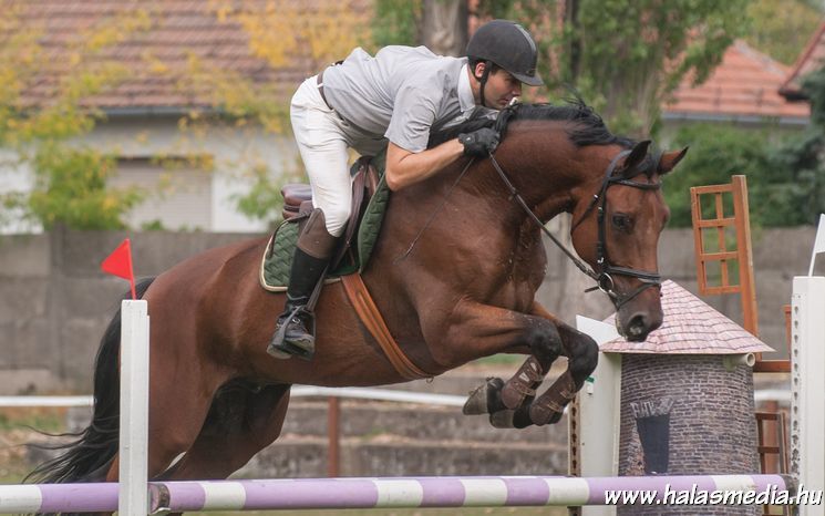 Regionális Tuska nap