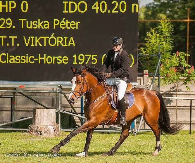 Halasi érmek a második napon