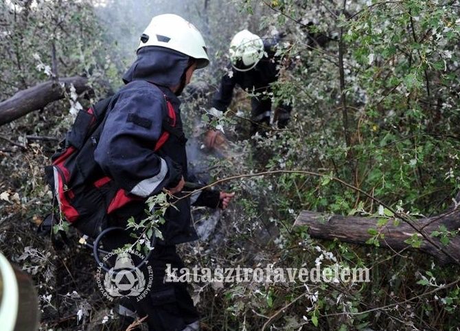 Halasiak a bugaci erdőtűznél