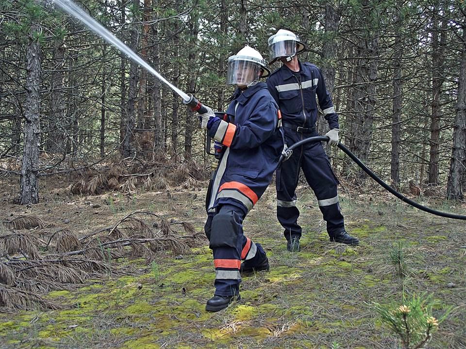 Támogatott Tüzes Kunok