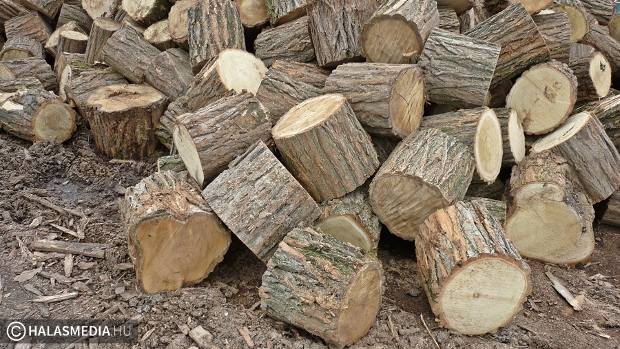 Nehezítik az illegális árusok helyzetét