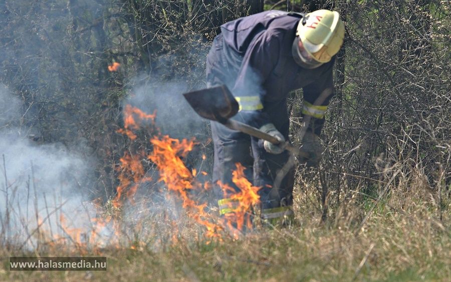 Tanyát veszélyeztetett az avartűz