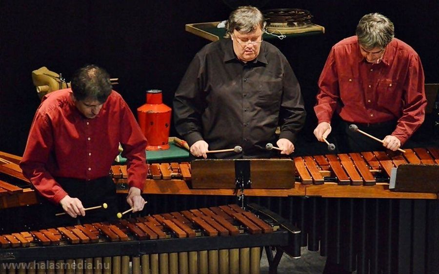 A világhírű Amadinda Halason zenélt