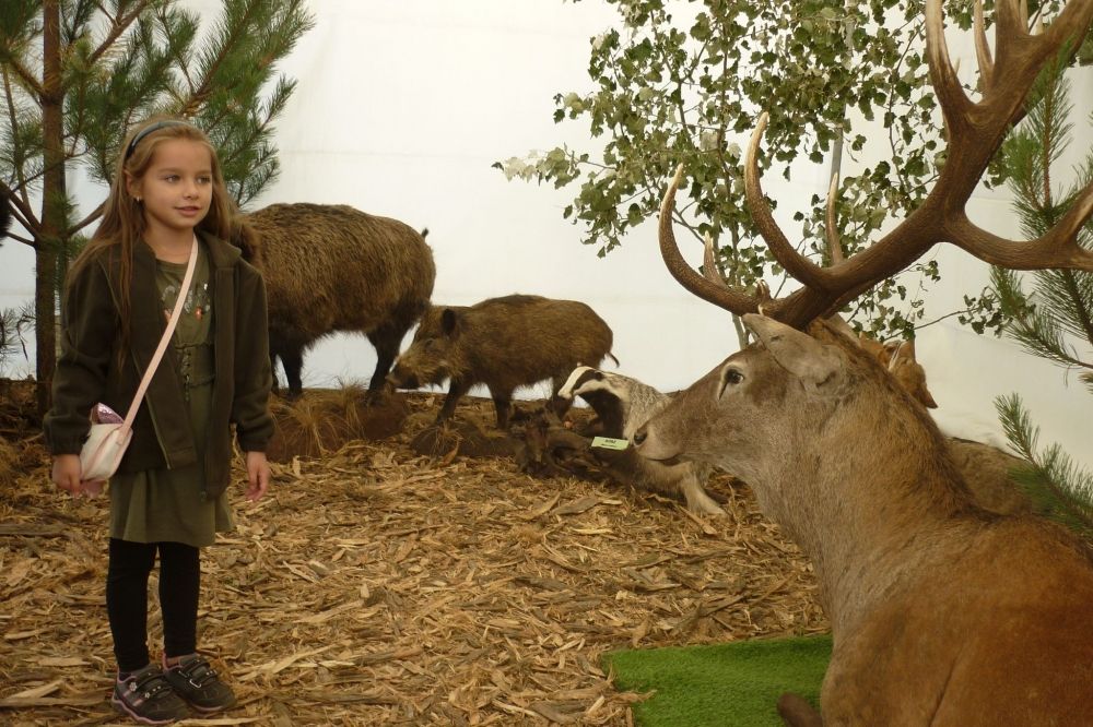 Megyei vadásznap és gasztropiknik a Sóstónál