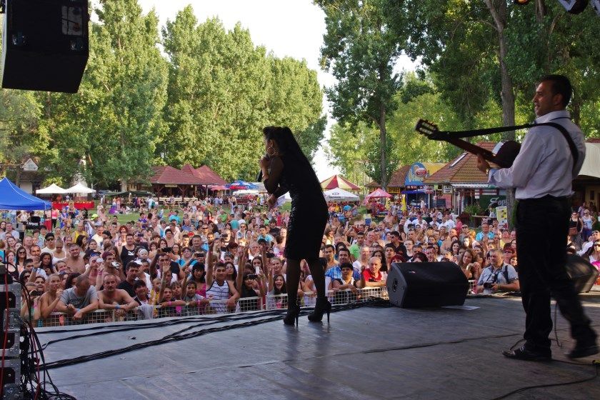 Nagy buli volt a vadkerti sörfeszten