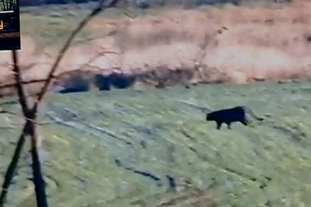 Ezek voltak a legolvasottabb cikkek 2021 decemberében