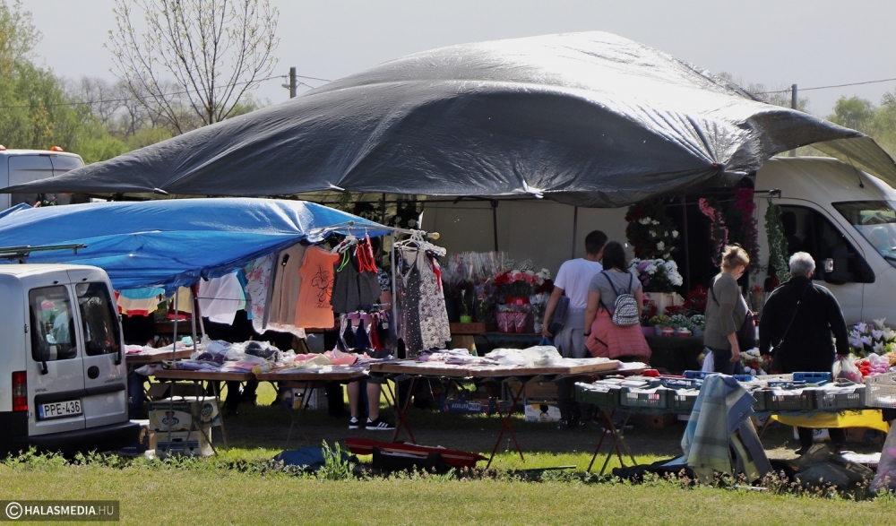 Vasárnap vásár lesz Halason