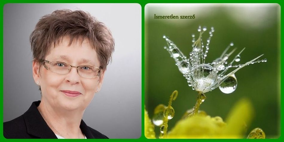 Miért szeretem...? - Veszelszkiné Huszárik Ildikó