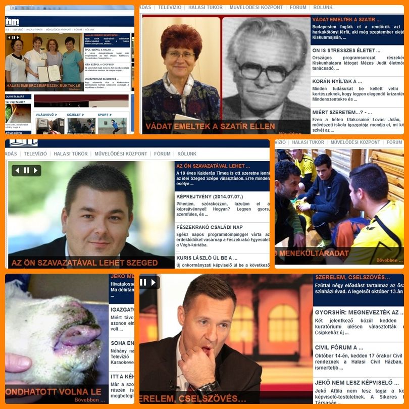 2014 legviccesebb halasmédiás honlapbakijai