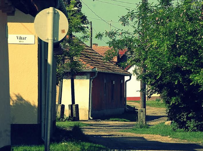 Halas 350 éves cölöpökön