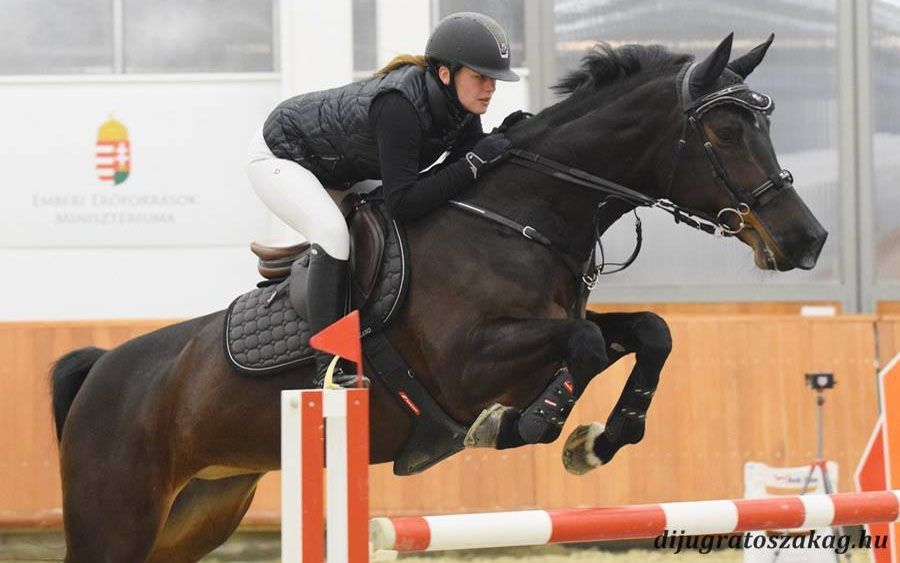 Fedettpályás díjugrató sikerek