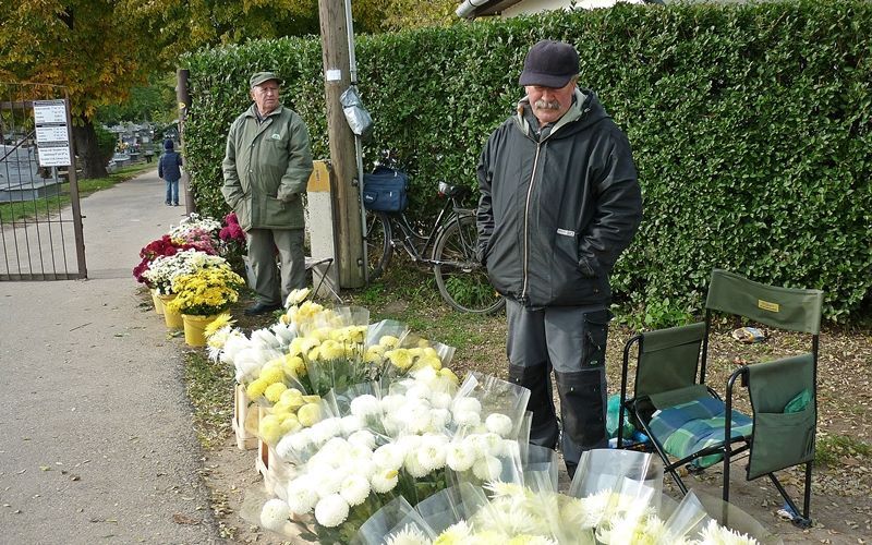 (►) Áremelés – nem nyílt ki a kegyelet virága