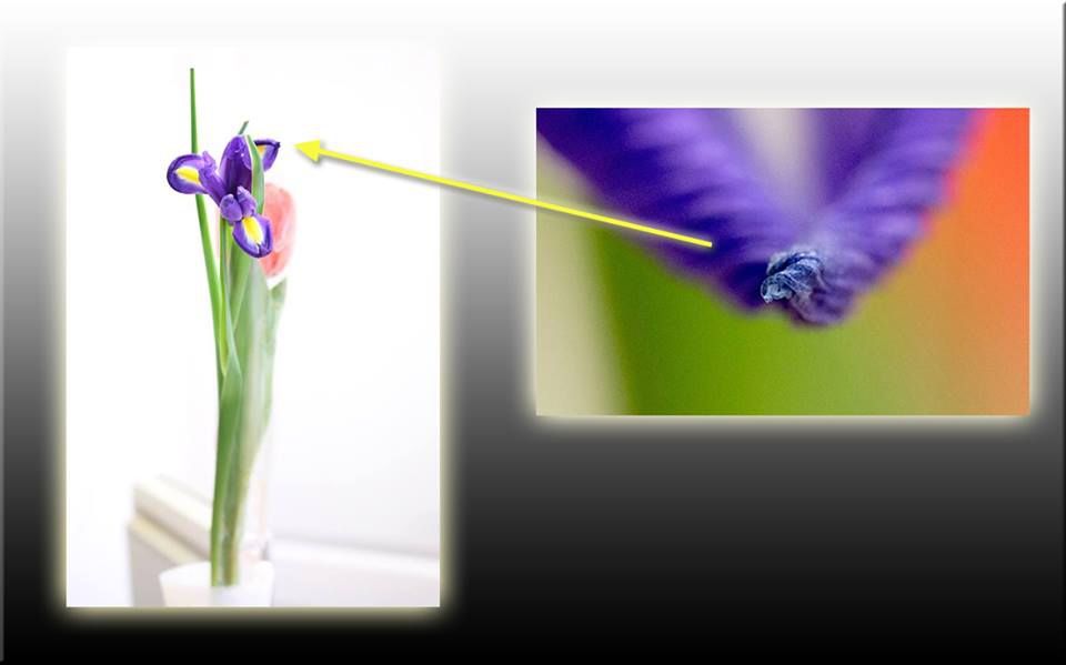 LEZÁRVA (2016.03.13.)