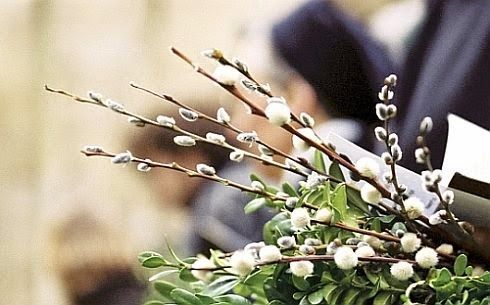 Virágvasárnap lesz barkaszenteléssel