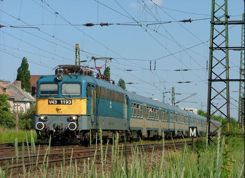 Kidőlt fa miatt késnek a vonatok