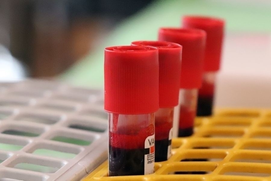 Márciusi véradások Halason és térségében