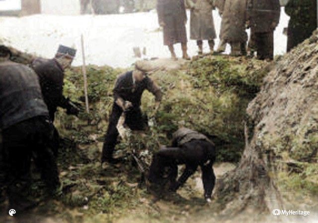 Hetvenhat éve történt a halasi tömeggyilkosság