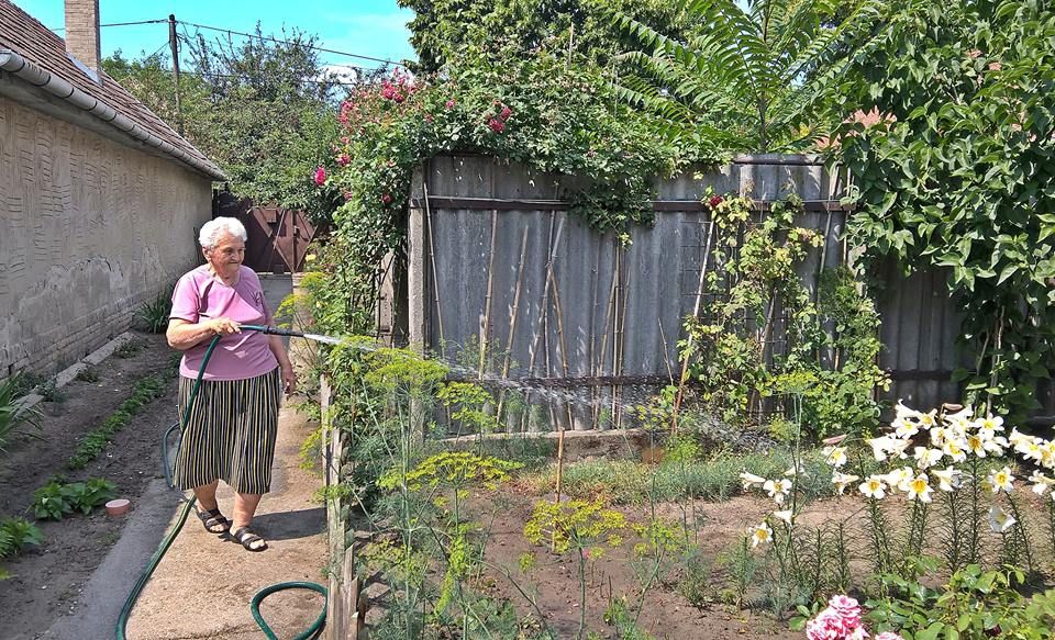 Akár Ön is igényelheti