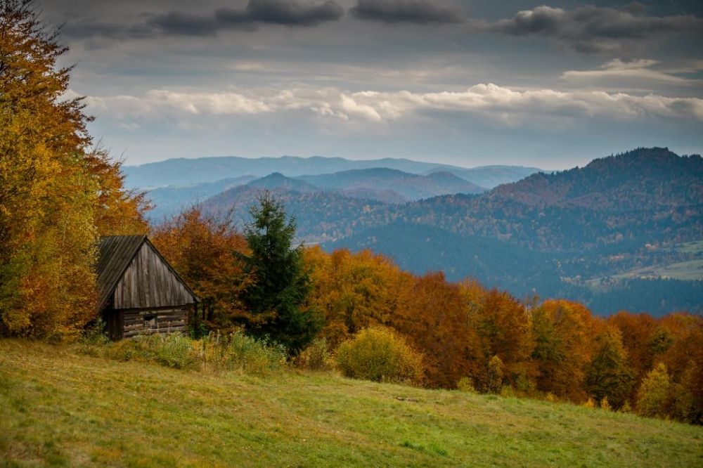 Pihenés az erdőben: tájképparkok és természetvédelmi rezervátumok a Szandeci Földön
