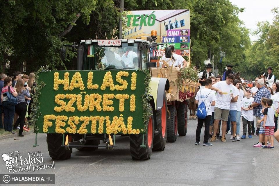 Szüreti menet táncosokkal, mustosztással