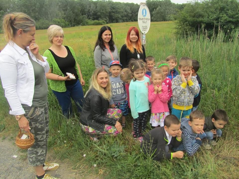 A híd hete, avagy Zöld-híd-hét