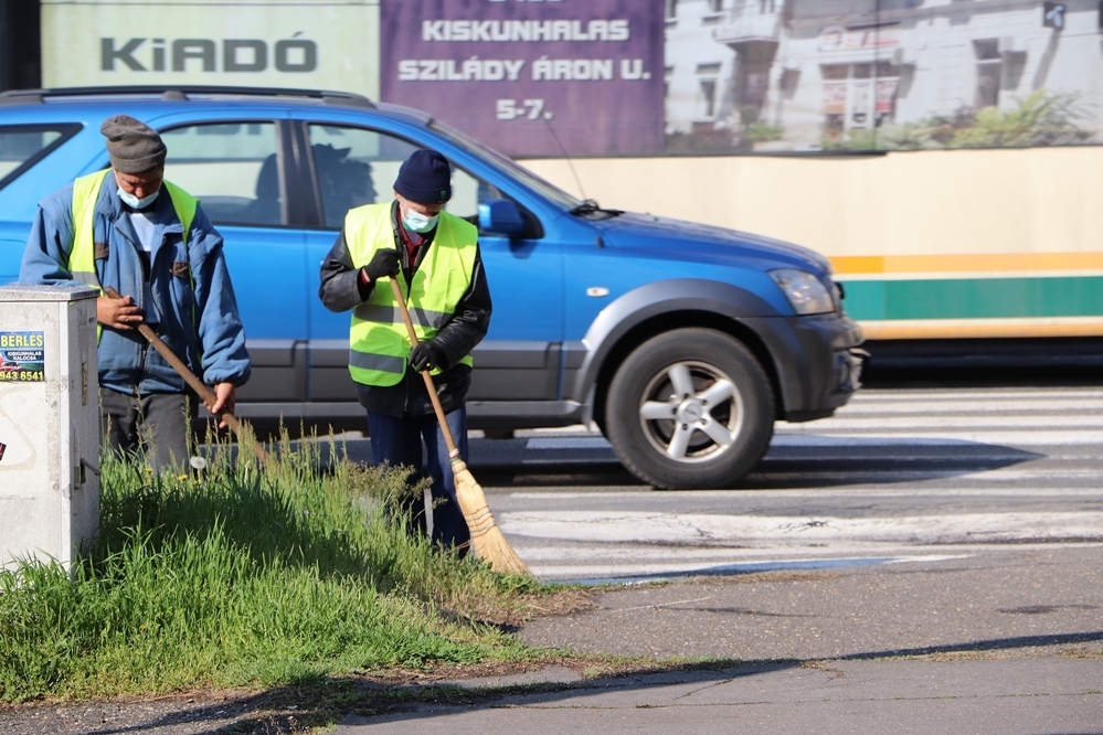 Padkatakarítás: óvatosan hajtsanak el mellettük!