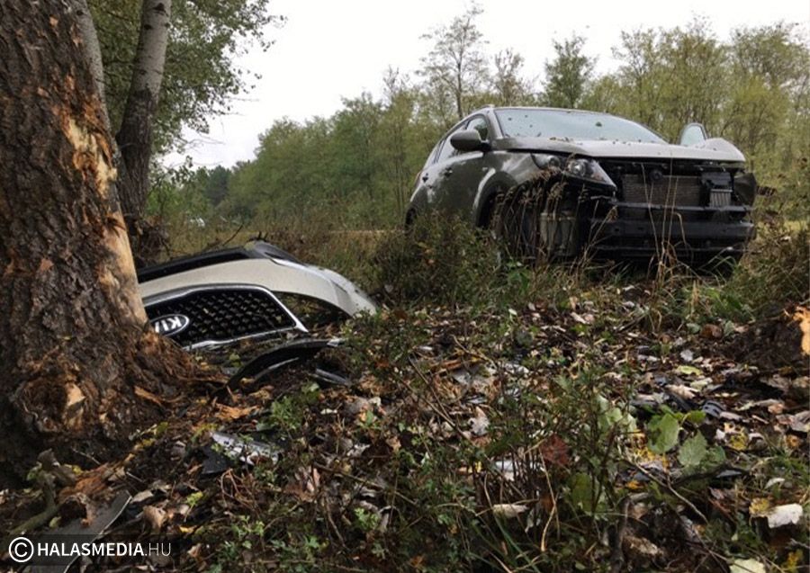 Terepjáró ütközött fának a zsanai úton (galéria)