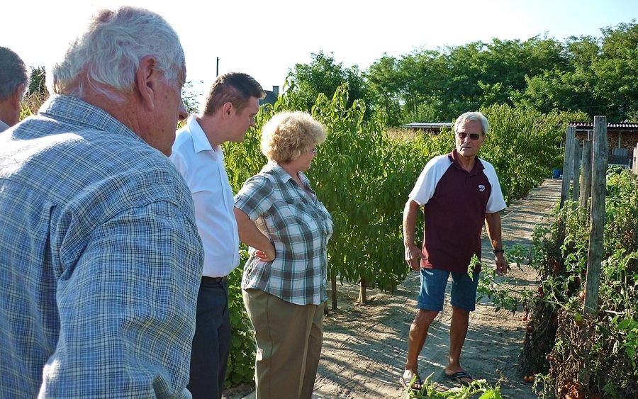 Zsűrizték a konyhakerteket