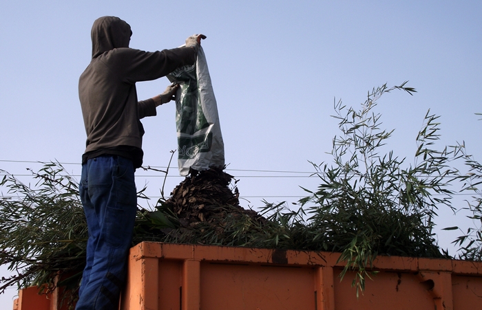 Megszabadultunk a zöldtől