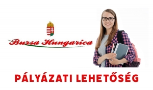 Pályázzon a Bursa Hungarica támogatásra, amig lehet!