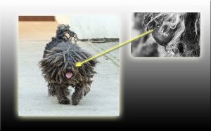 LEZÁRVA (2016.07.06.)