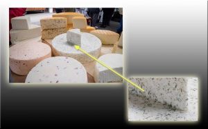 LEZÁRVA (2016.03.22.)